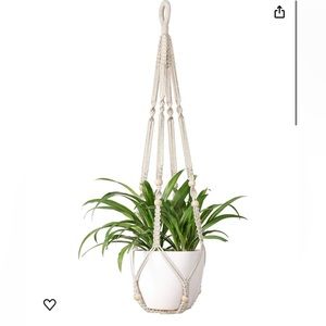 Hanging plant holder